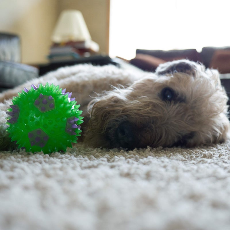 Gnawsome 3.5â€ Squeak & Light Soccer Ball Dog Toy - Medium, Cleans Teeth and Promotes Dental and Gum Health for Your Pet, Colors will vary - Image 5